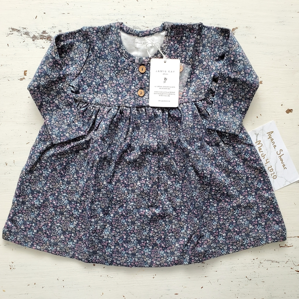 Jamie Kay Winter Floral Dress